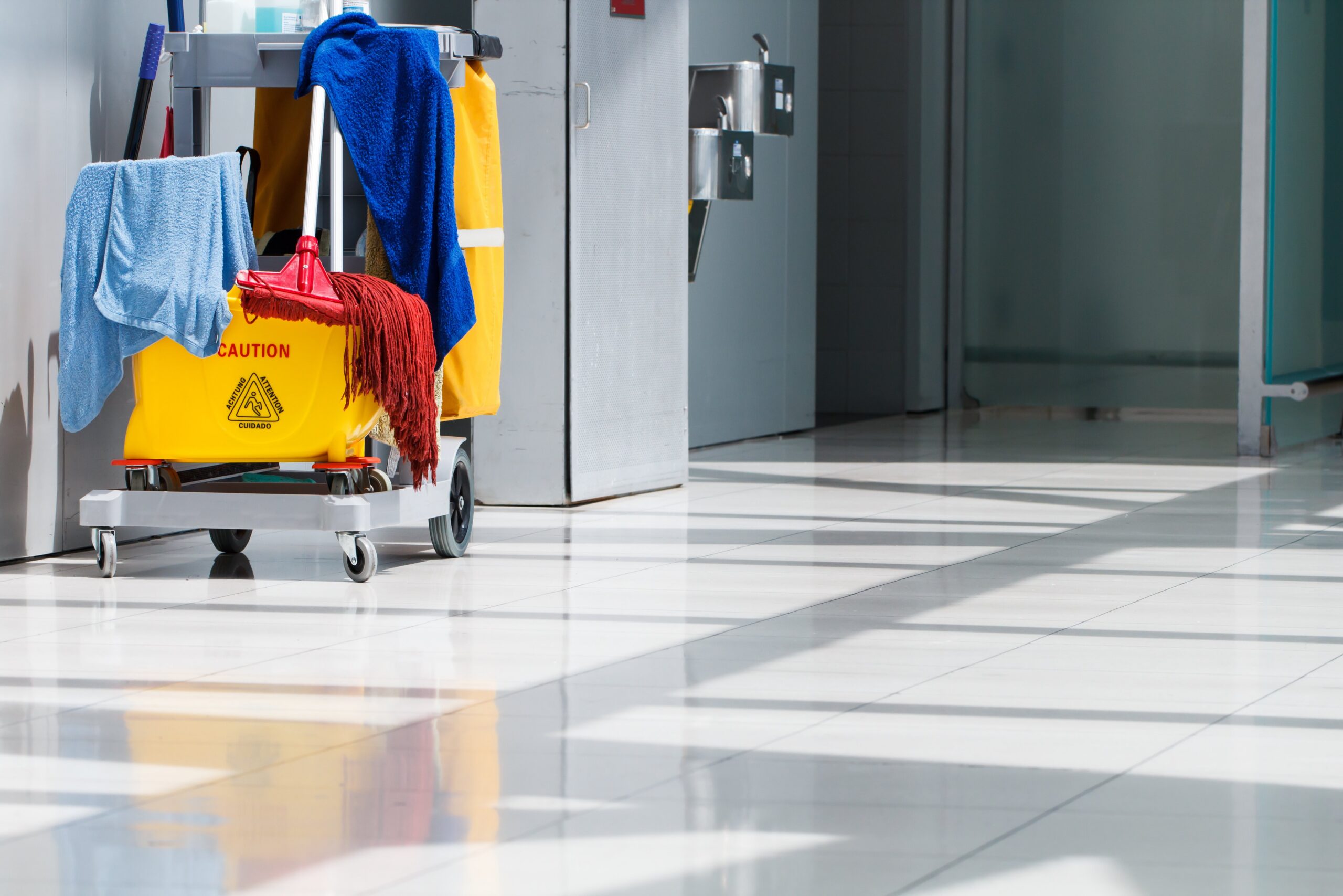 Deep cleaning service